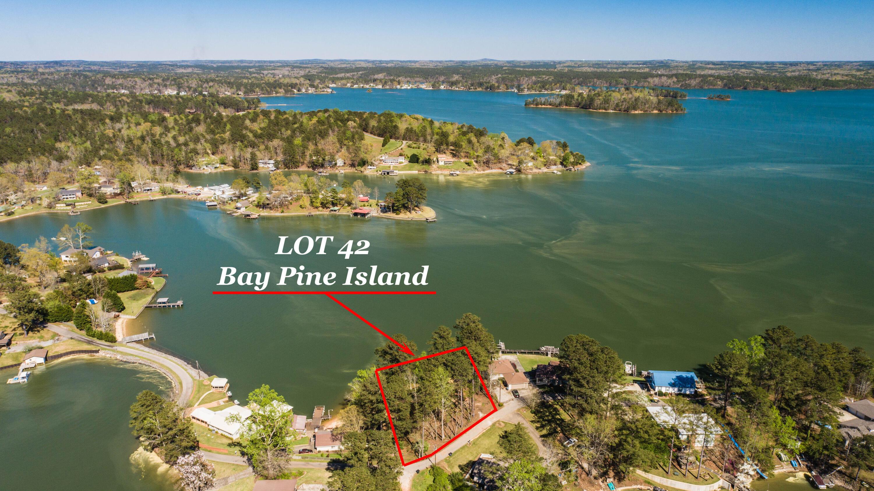 Bay Pine Island, Jacksons Gap, AL lhrmls00787589