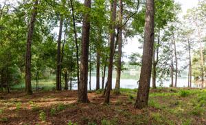 Lot 17, Phase 3, The Willows