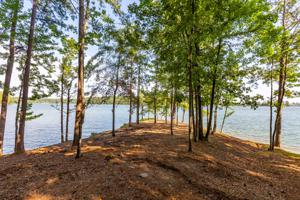 Lot 41, Phase 4, The Willows