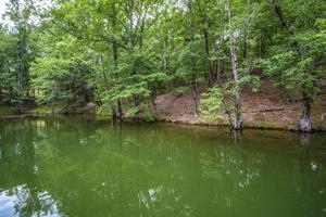 Lot 3 Kennebec