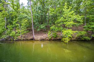 Lot 2 Kennebec