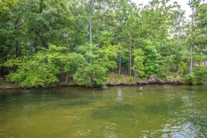 Lot 15 Kennebec