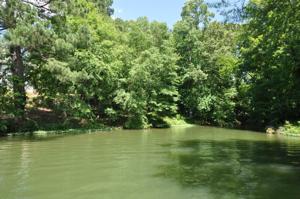 Nevins Rd
