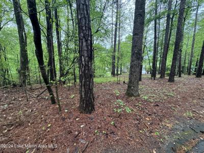 Lot 54 Chinquapin Crt