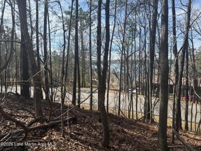 Lakeview Ridge Cir