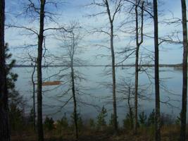 322 Dawson Point