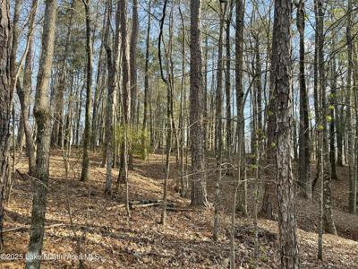 Lot 70 Restful Cove