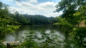 Lot 1 Old Hickory Rd