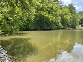 Lot 11 Old Hickory Rd