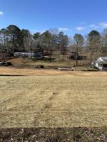 Bay Pine Island