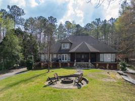 35 E Bald Cypress