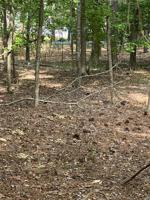 Lot 5 E Willow Way