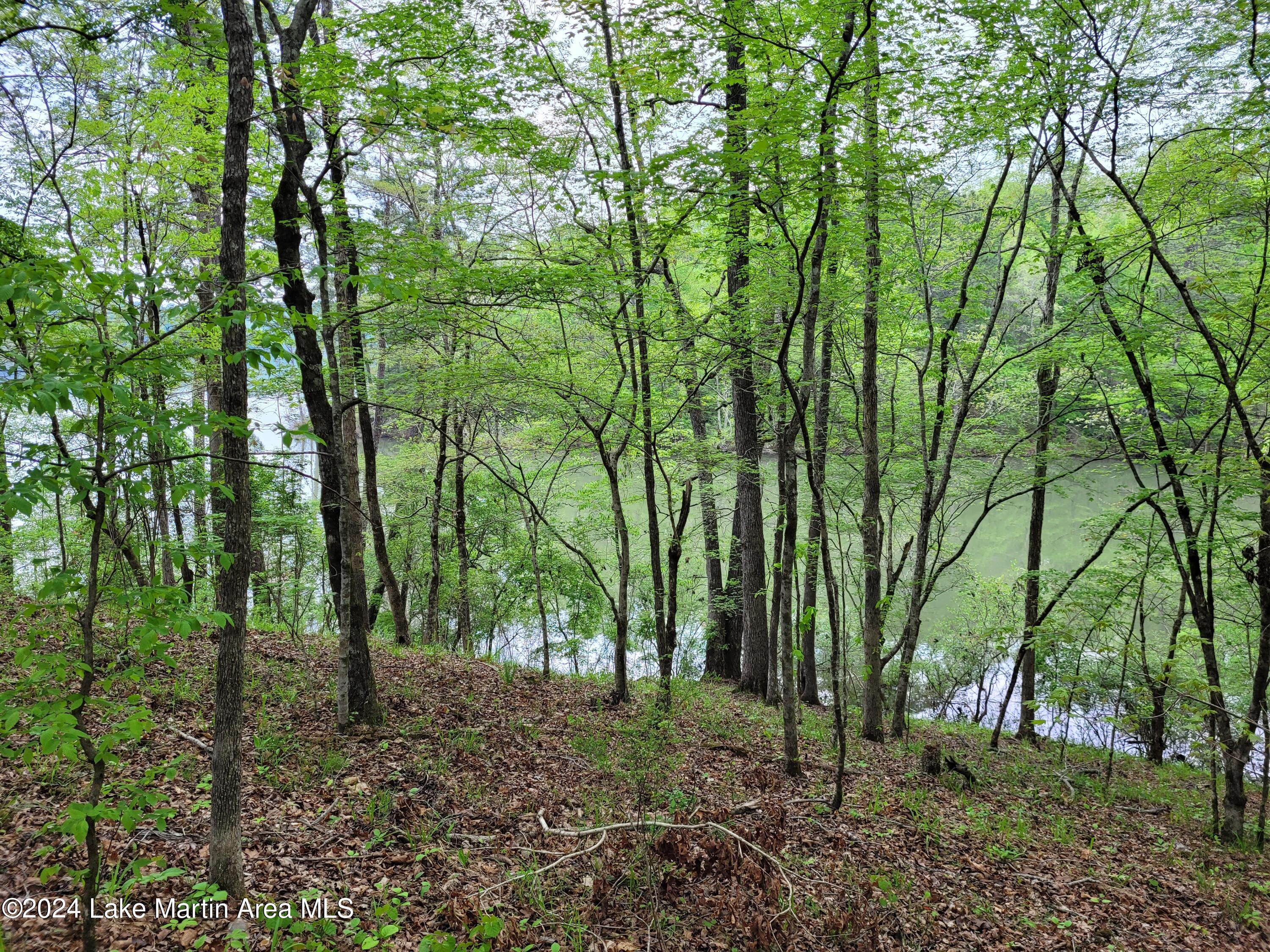 Image 2: 20240408_171827