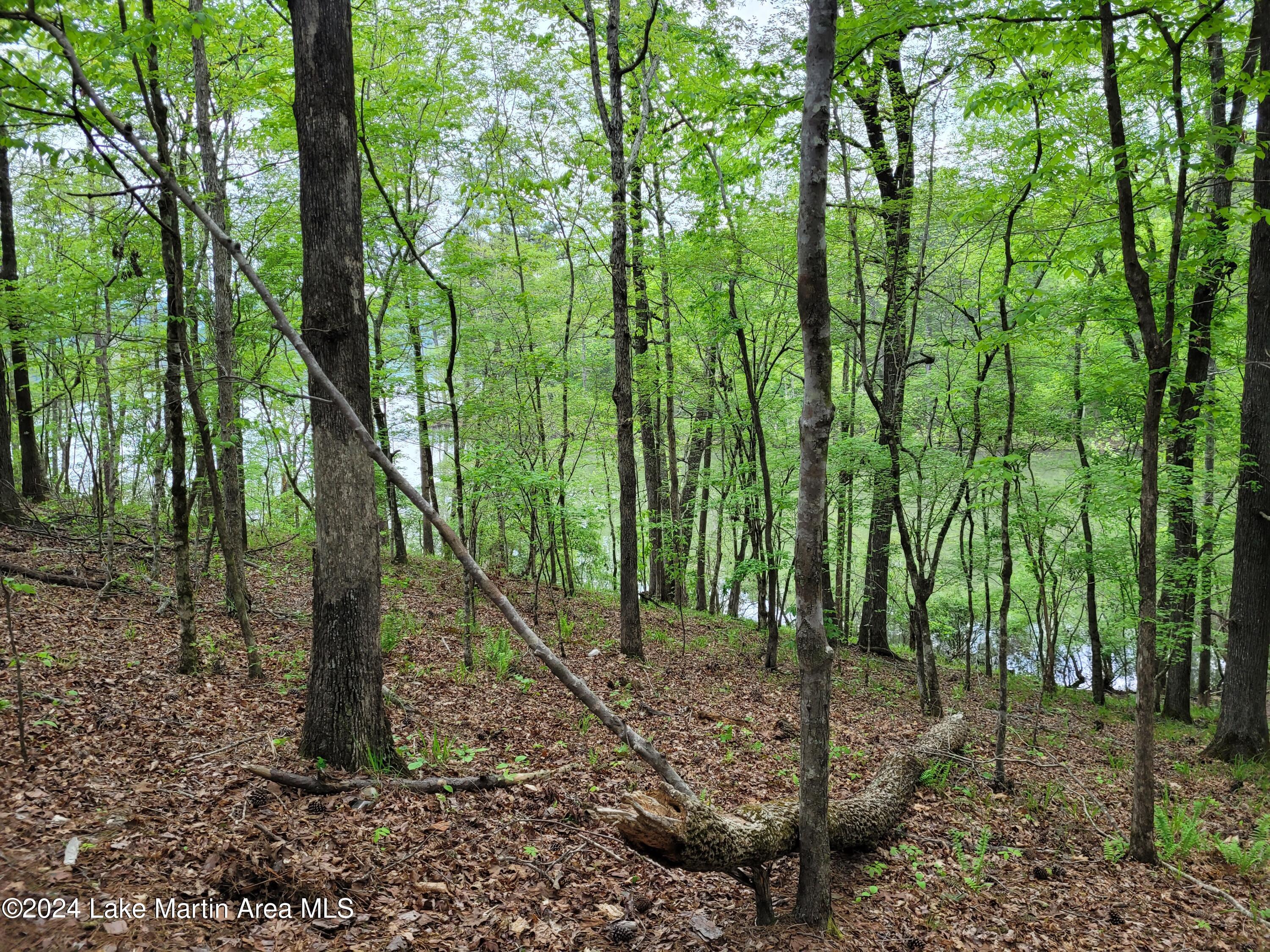 Image 3: 20240408_171915