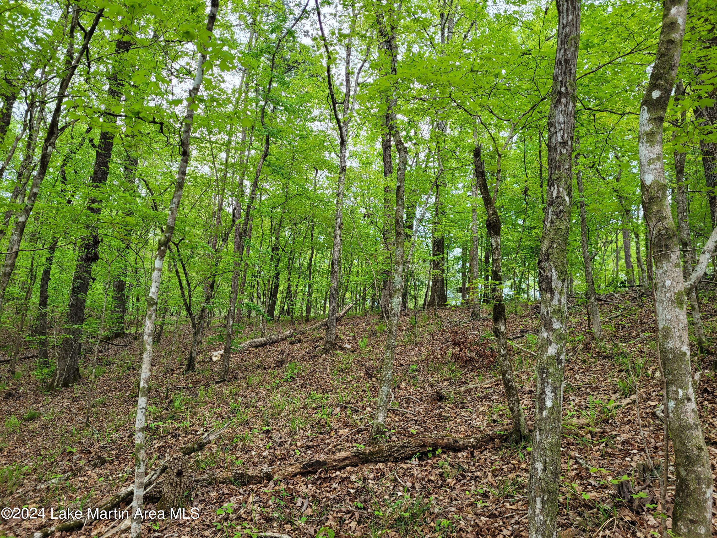 Image 4: 20240408_171730