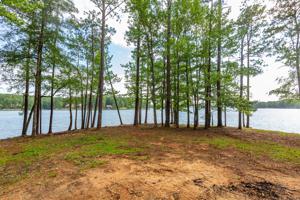 Lot 33, Phase 4, The Willows