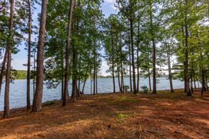 Lot 36, Phase 4, The Willows