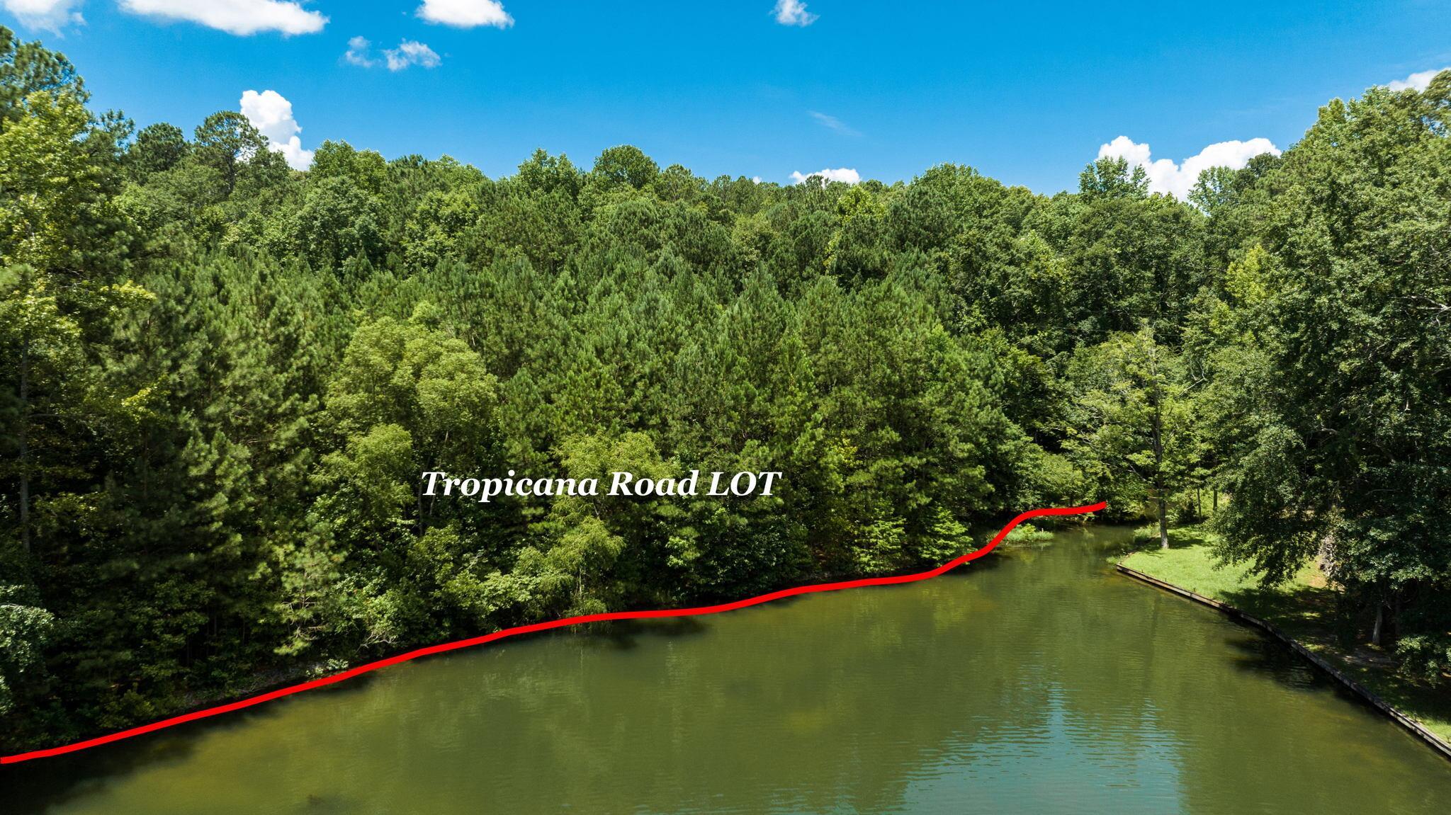 49 Tropicana Drive, Dadeville, AL lhrmls01445130