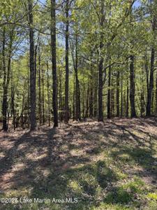 24A Larkspur Ln