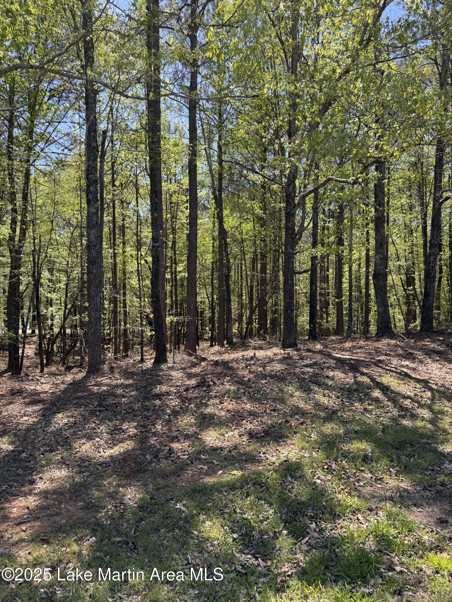 Image 1: 1