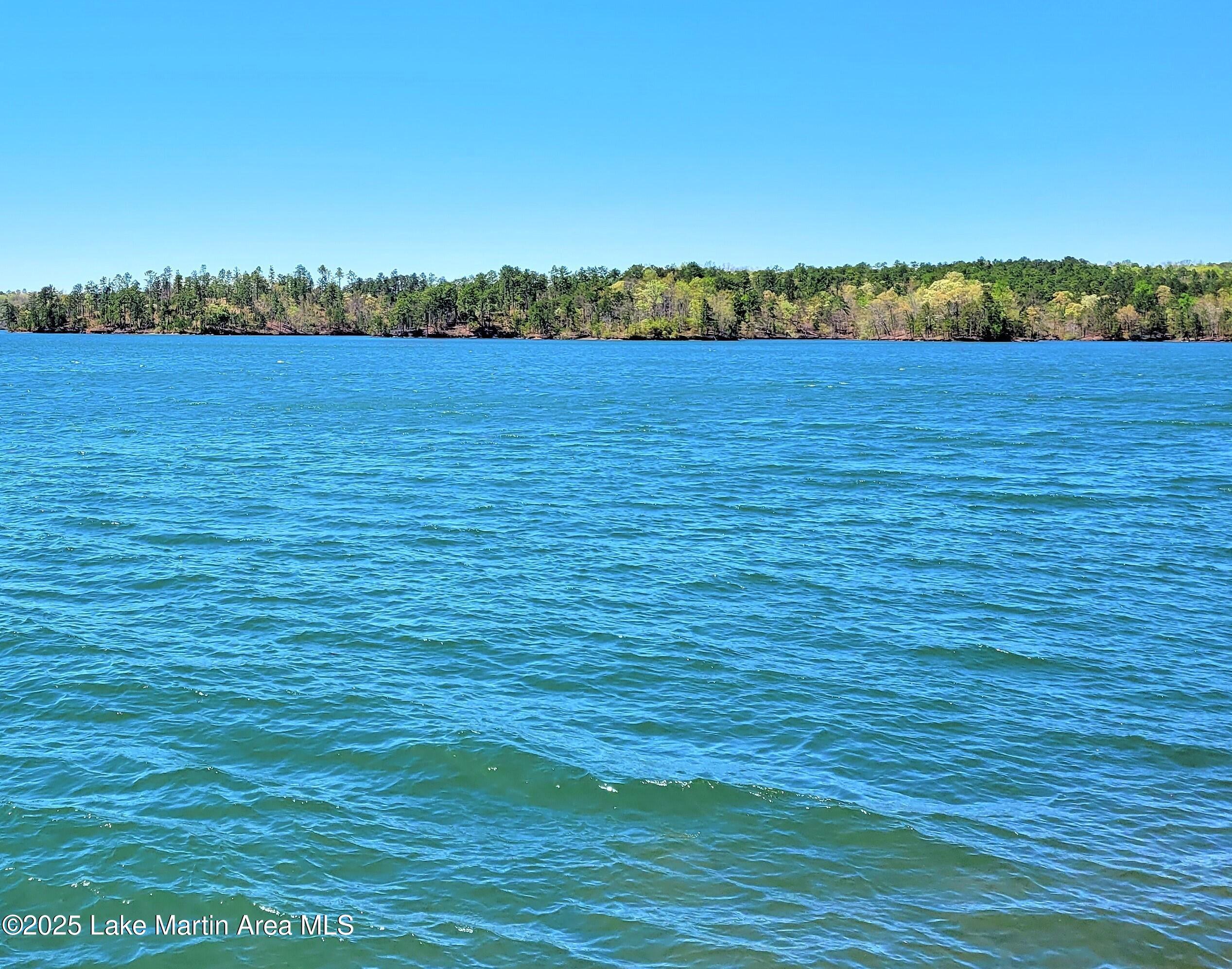 Image 4: 20210401_134652