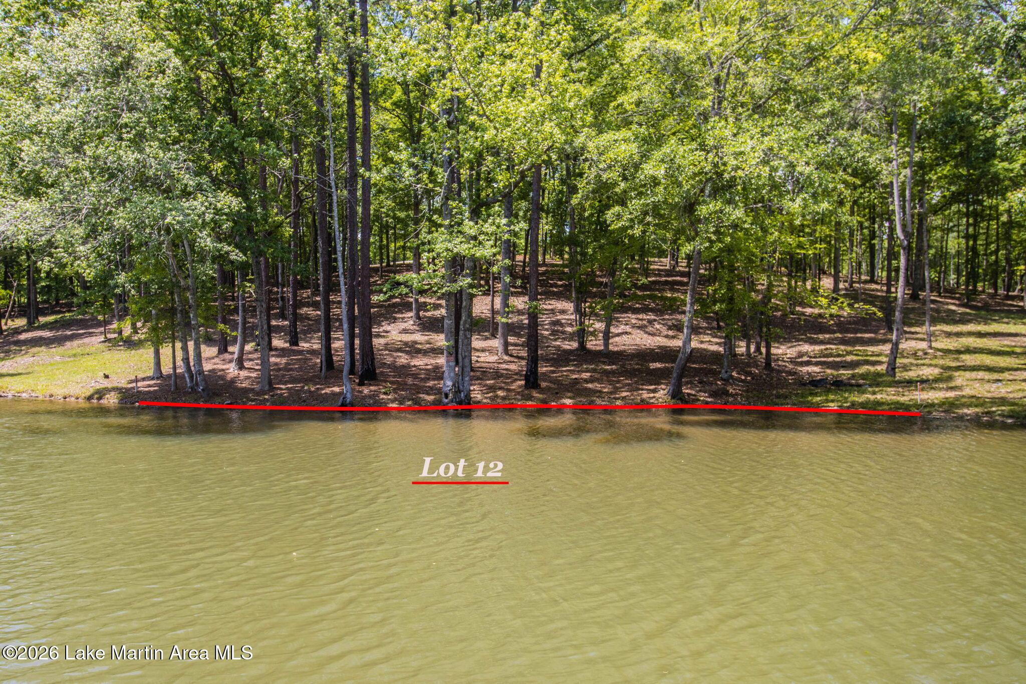 Image 3: Lot 12 The Sanctuary on Lake Martin