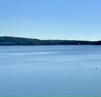 17 Loblolly Crt