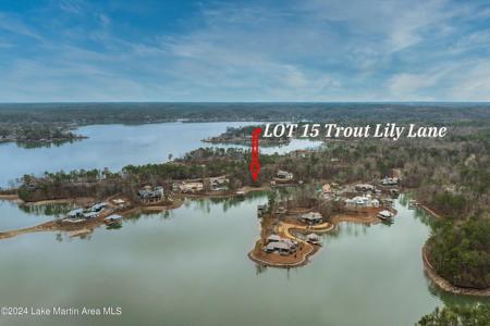 Lot 15 Kennebec