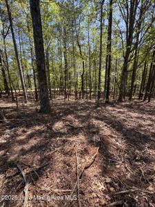25A Larkspur Ln