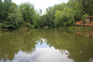 Lot 4 Waverly Lane