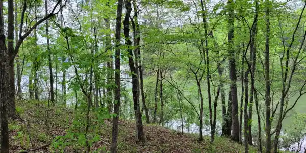 Lot 6 Hideaway Ln