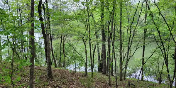 Image 2: 20240408_171827