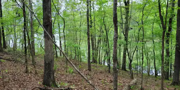 Image 3: 20240408_171915