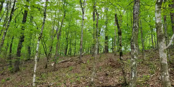 Image 4: 20240408_171730