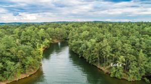 Lot 1 Kennebec