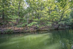 Lot 40 Kennebec