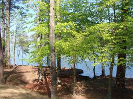 Lot 51 Willow Glynn Phase 3