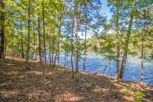 Lot 10 Kennebec