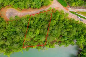 Lot 59 Pitchford Crt