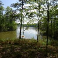 10.82Acres Hideaway Lane