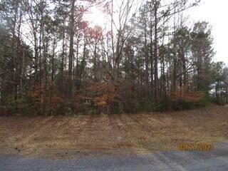 24A & 25A Larkspur Ln