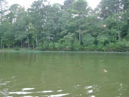 191 CREEK LANDING LANE