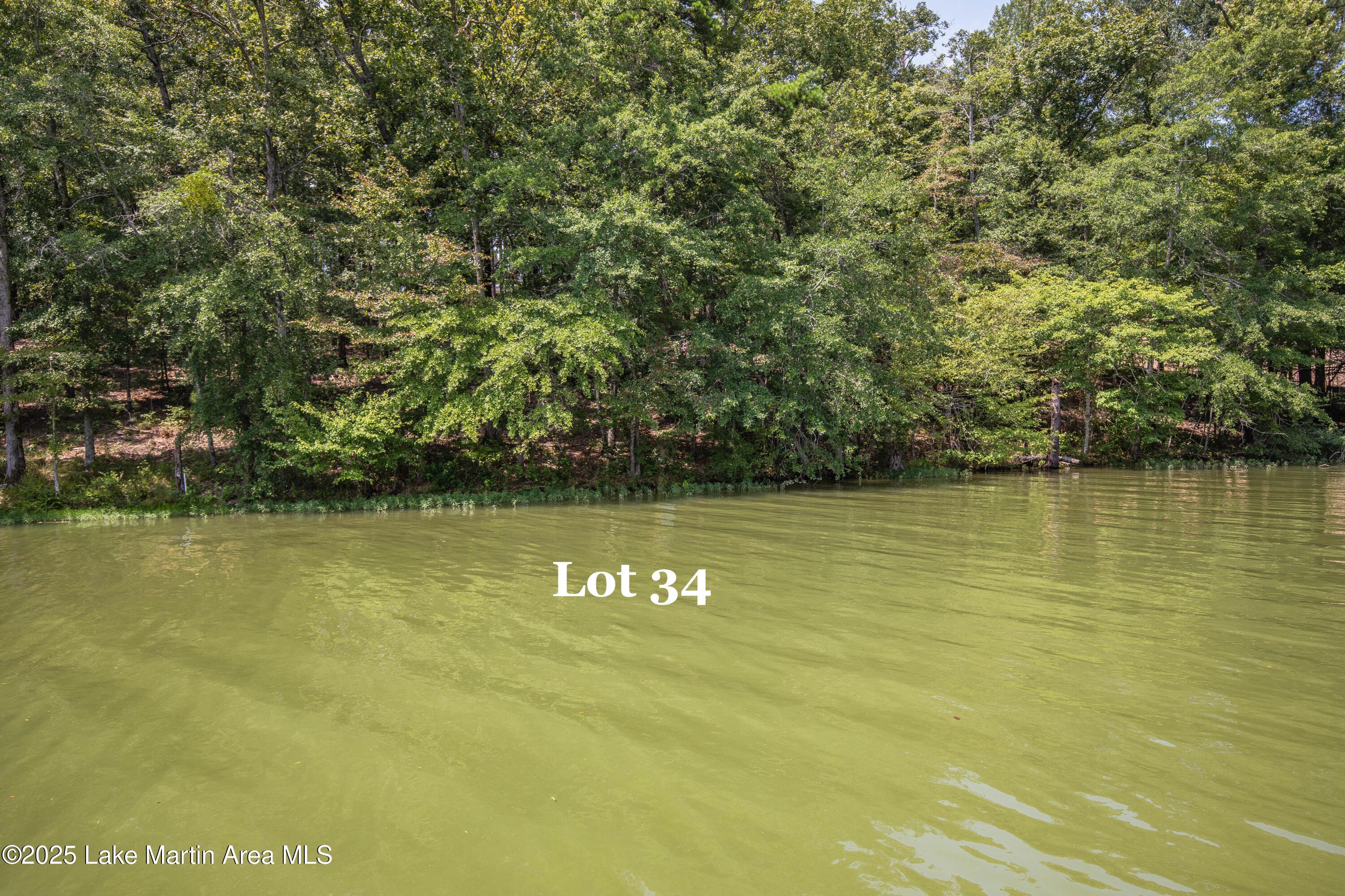 Image 4: Lot 34