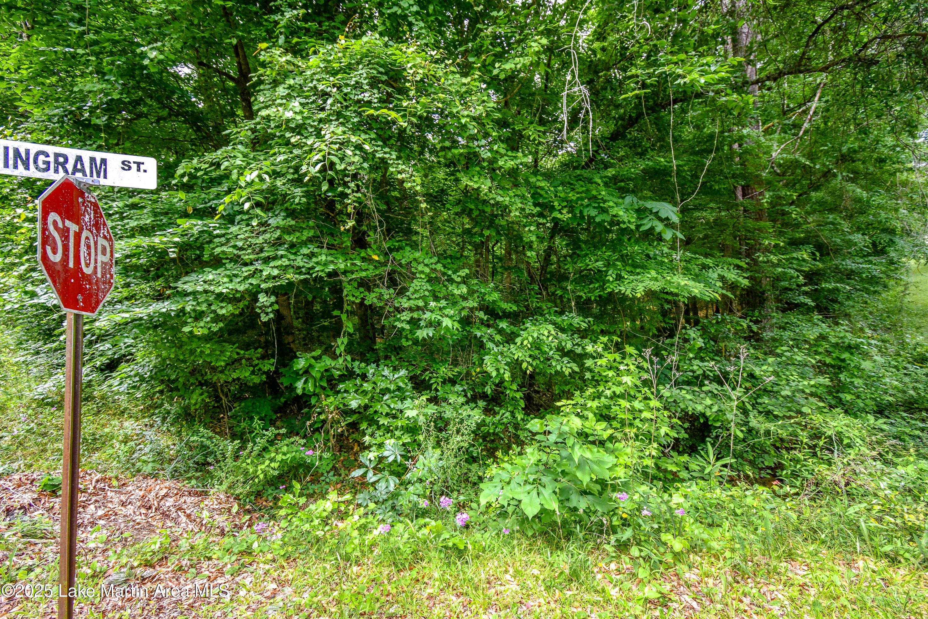 Image 4: DSC_7029 - Copy