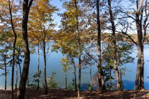Lot 56 Bay Point