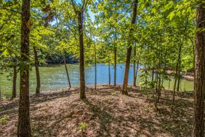 Lot 6 Kennebec