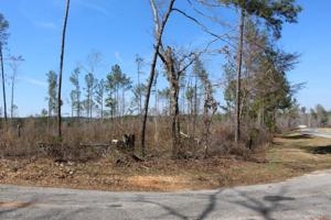 Madwind Rd