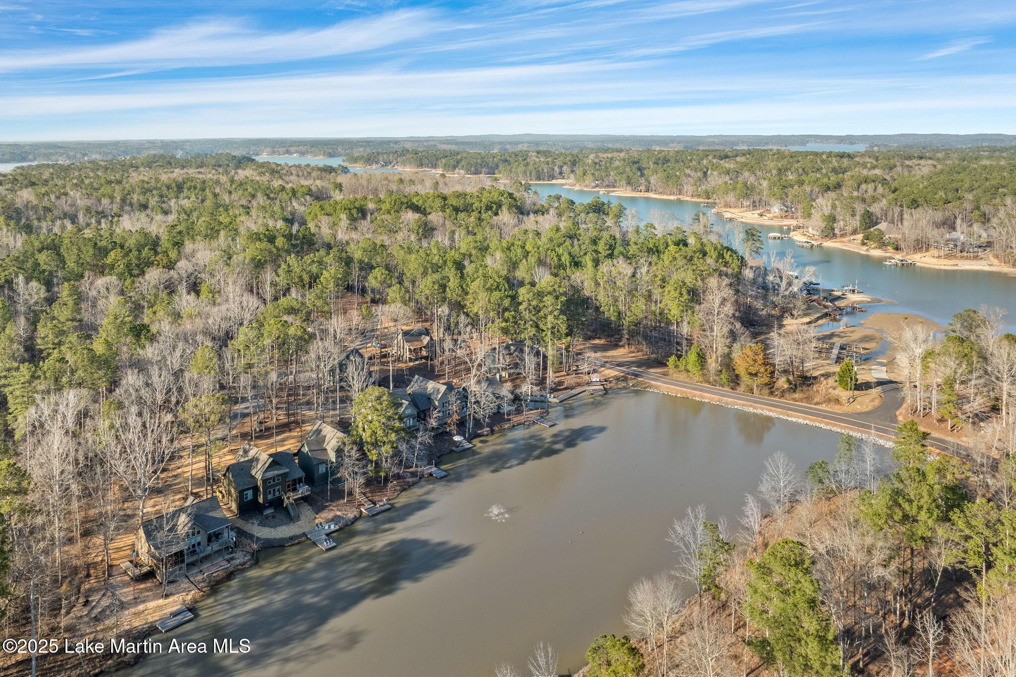Image 4: 5-web-or-mls-79 Harmony Cove Ln Aerial-5