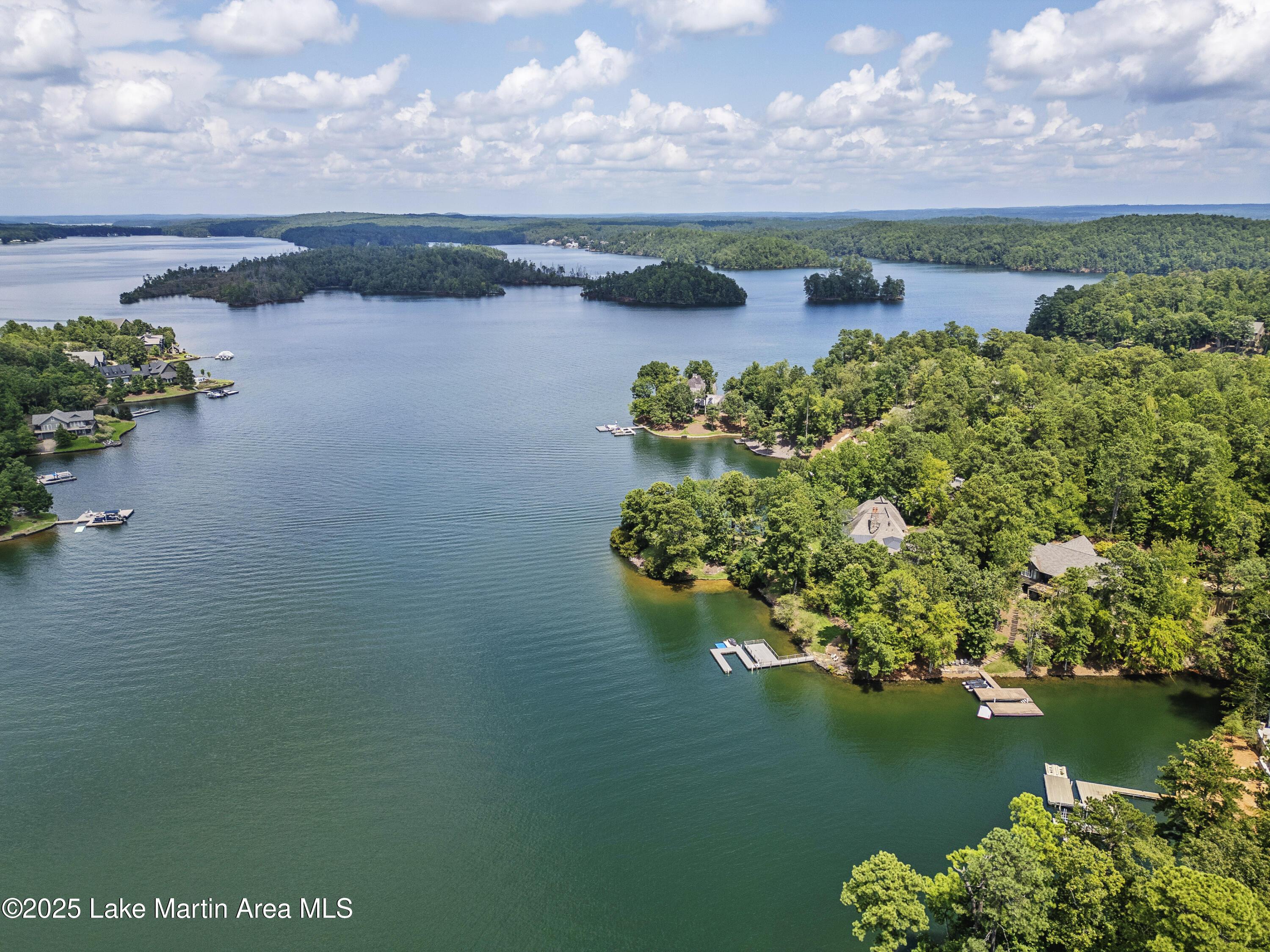 Image 4: Cedar Ridge Water View