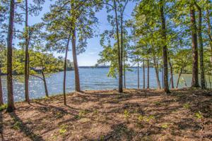 Lot 16 Kennebec